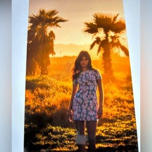 Zara Floral Dress Short Sleeve Blue Pink Short. Size Small. NEW